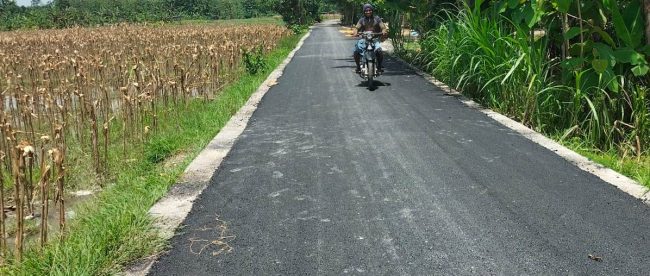 OPINI: DATA BPS SOAL JALAN NASIONAL DAN JALAN DESA LEBIH AKURAT DARIPADA DATA TGB (PARTAI PERINDO)