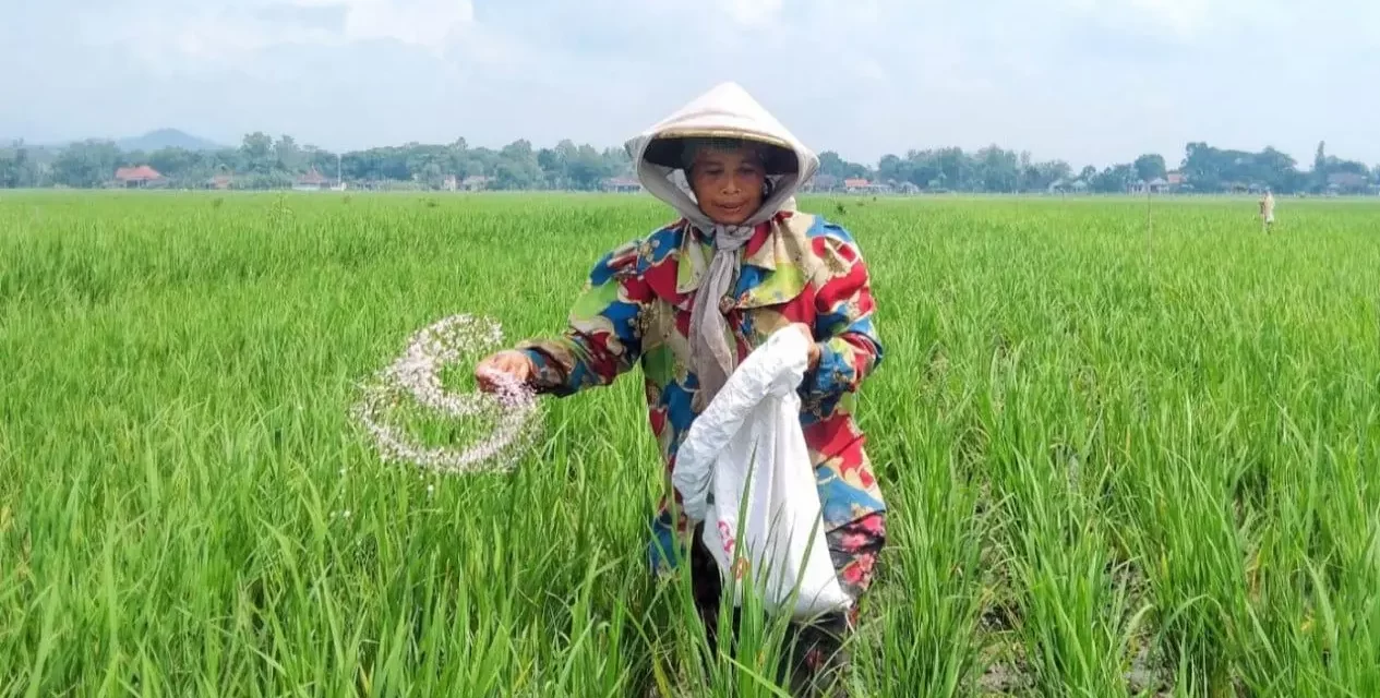 Timnas AMIN Beri Lima Rekomendasi Selesaikan Masalah Distribusi Pupuk Petani