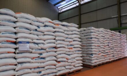 Rencana Bulog jadi Badan Otonom Langsung di Bawah Presiden, Direspons Pengamat Ekonomi Begini