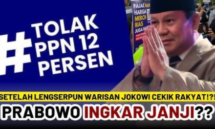 PPN 12 Persen Makin Membebankan Rakyat, Ini Enam Usulan Alternatif Kebijakan Lain