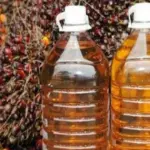 CPO Turun Tajam Dipicu Penguatan Ringgit dan Pelemahan Minyak Mentah
