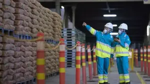 SIG Catat Kenaikan Penjualan 4,4% Sepanjang Jan–Mei 2026